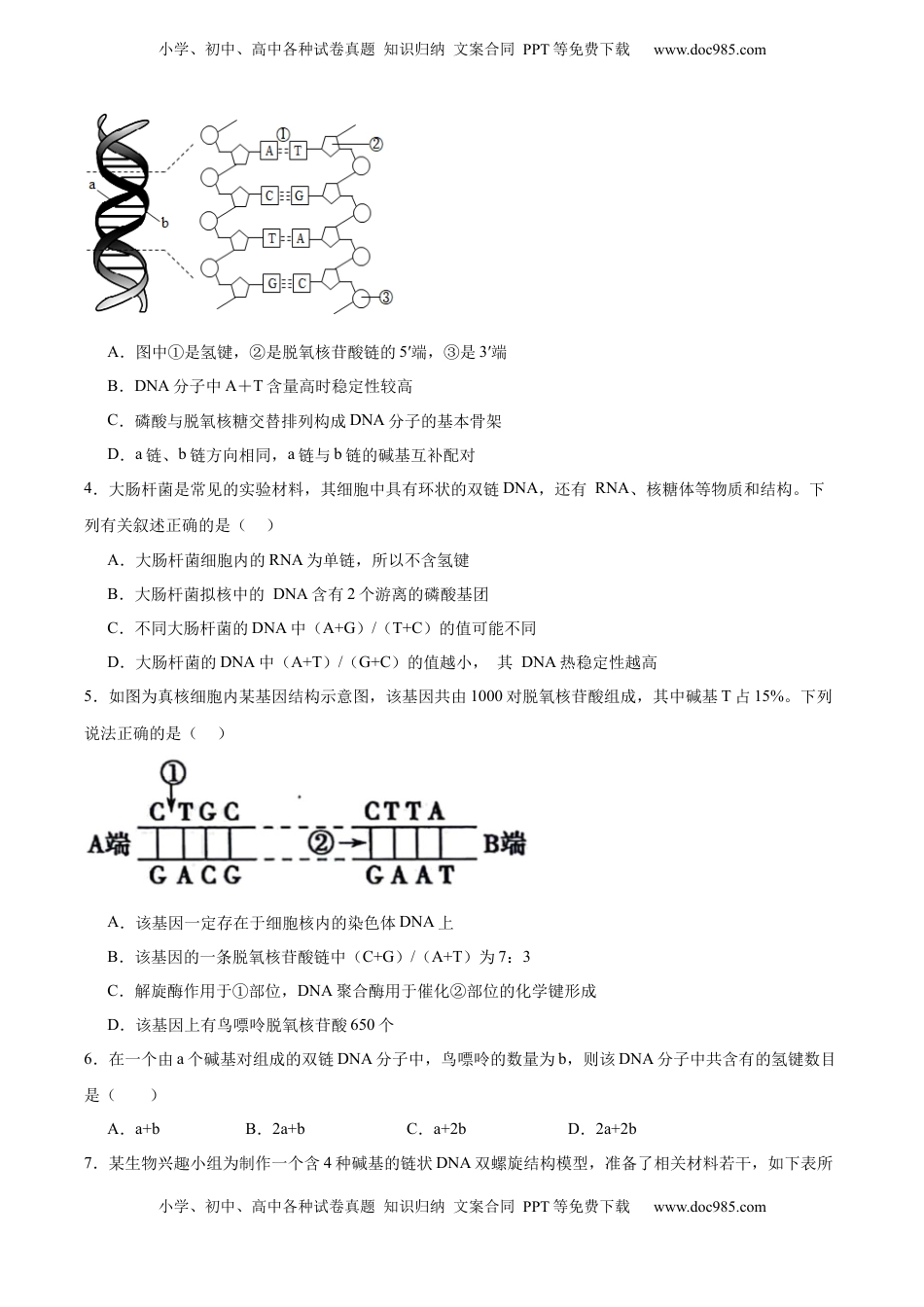 高考生物复习  考点通关卷20 DNA结构、复制与基因的本质（原卷版）.docx