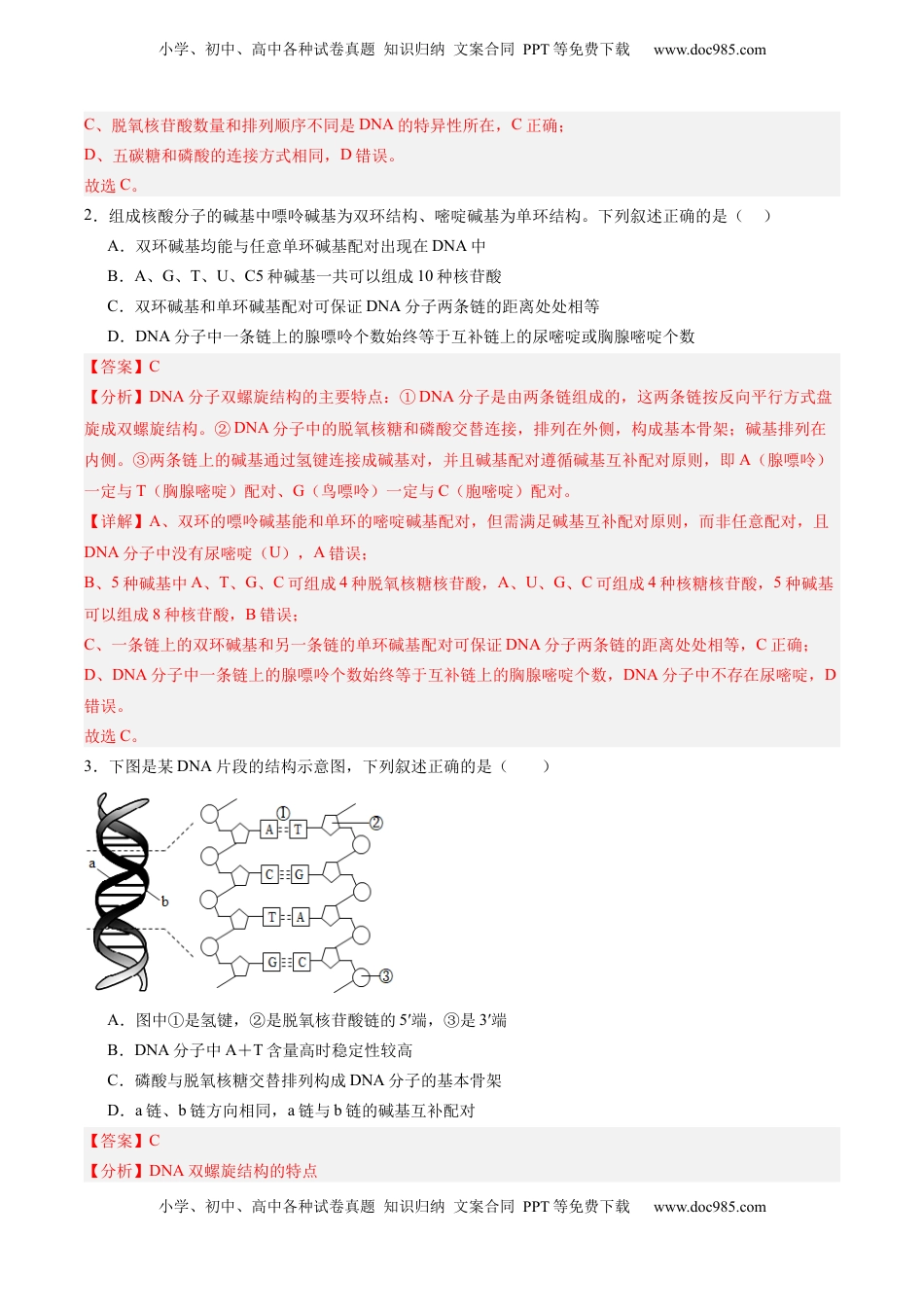 高考生物复习  考点通关卷20 DNA结构、复制与基因的本质（解析版）.docx
