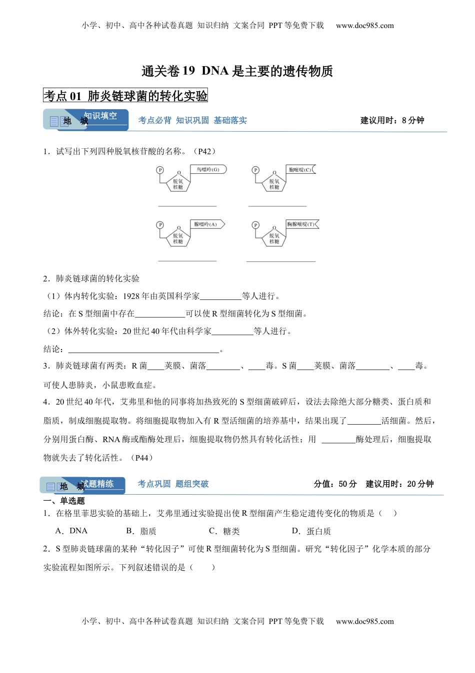 高考生物复习  考点通关卷19 DNA是主要的遗传物质（原卷版）.docx