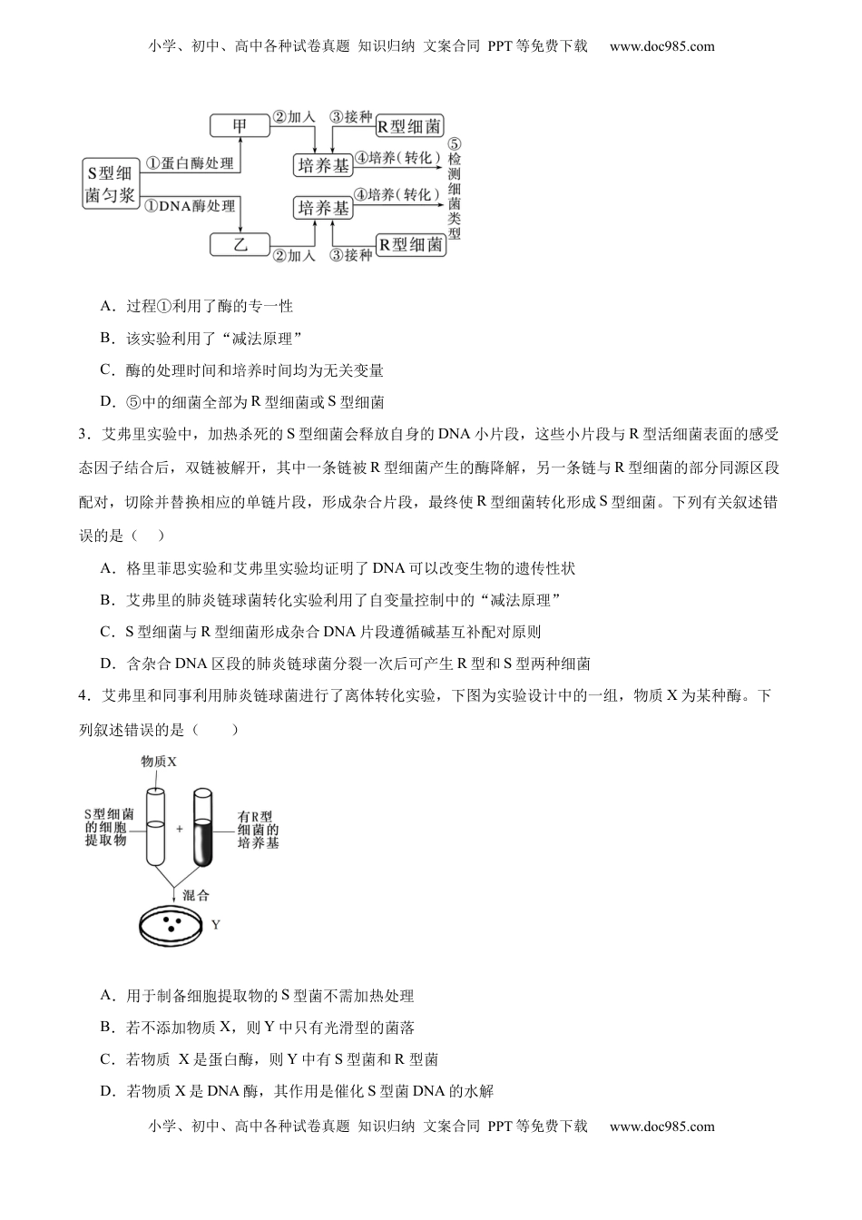 高考生物复习  考点通关卷19 DNA是主要的遗传物质（原卷版）.docx