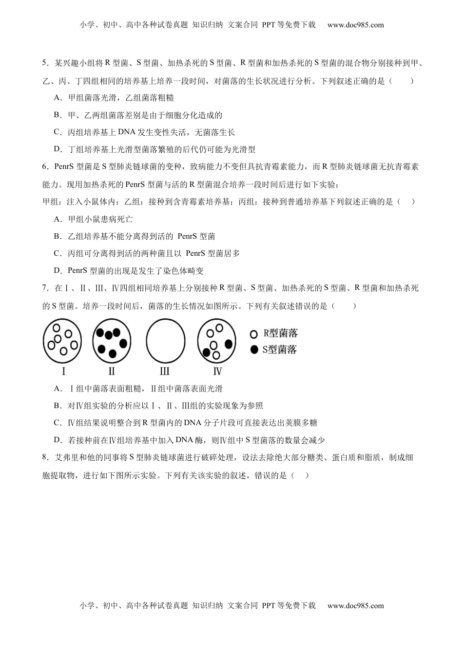 高考生物复习  考点通关卷19 DNA是主要的遗传物质（原卷版）.docx