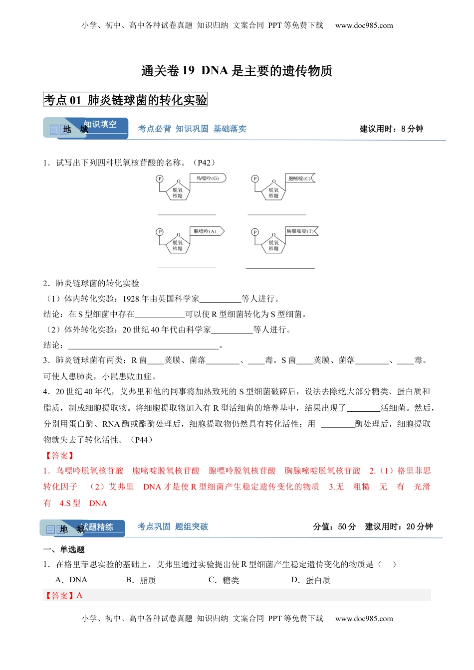高考生物复习  考点通关卷19 DNA是主要的遗传物质（解析版）.docx