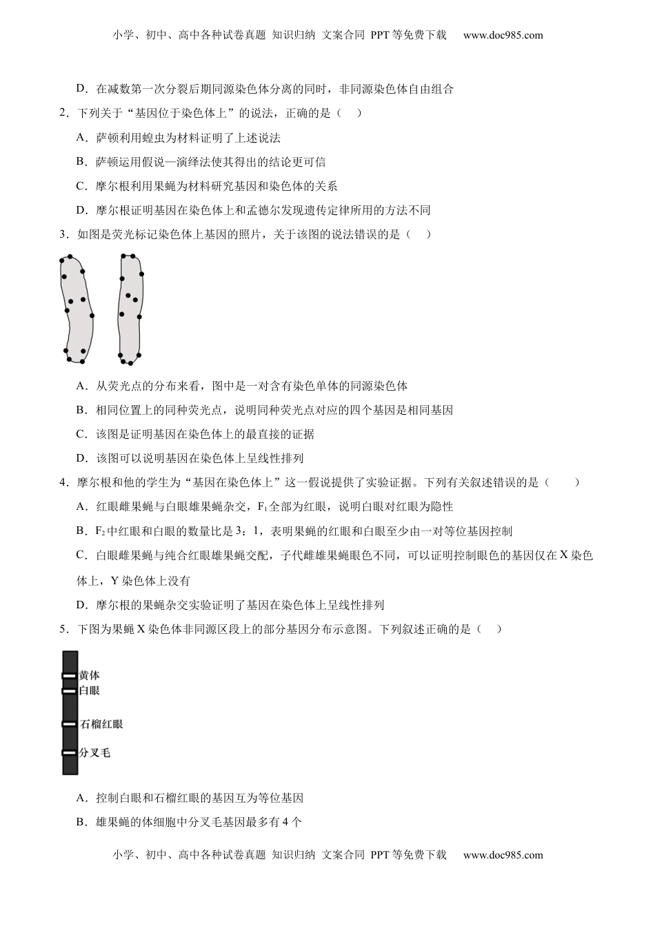 高考生物复习  考点通关卷17 伴性遗传和人类遗传病（原卷版）.docx