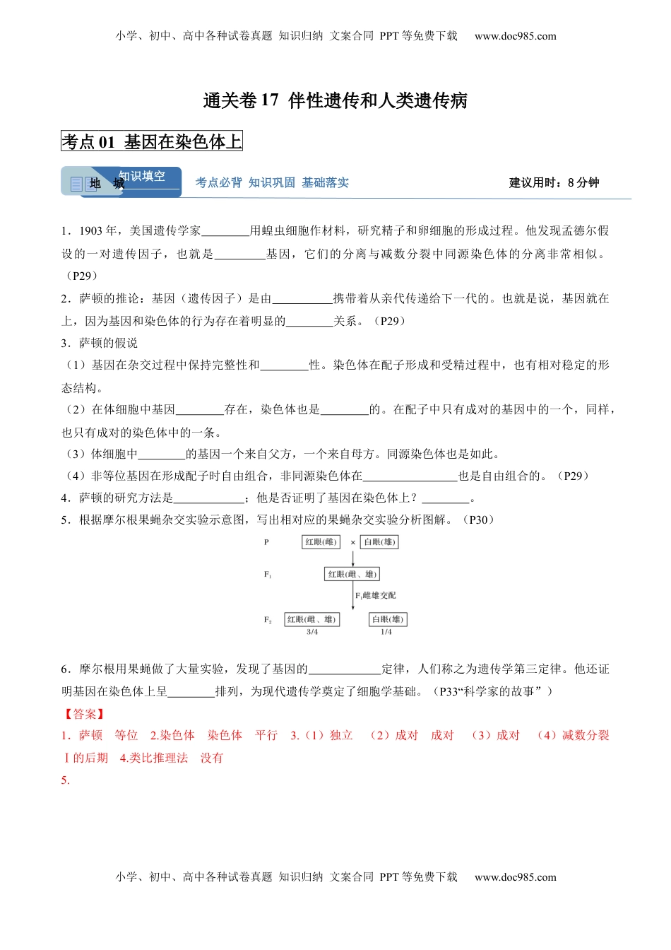 高考生物复习  考点通关卷17 伴性遗传和人类遗传病（解析版）.docx