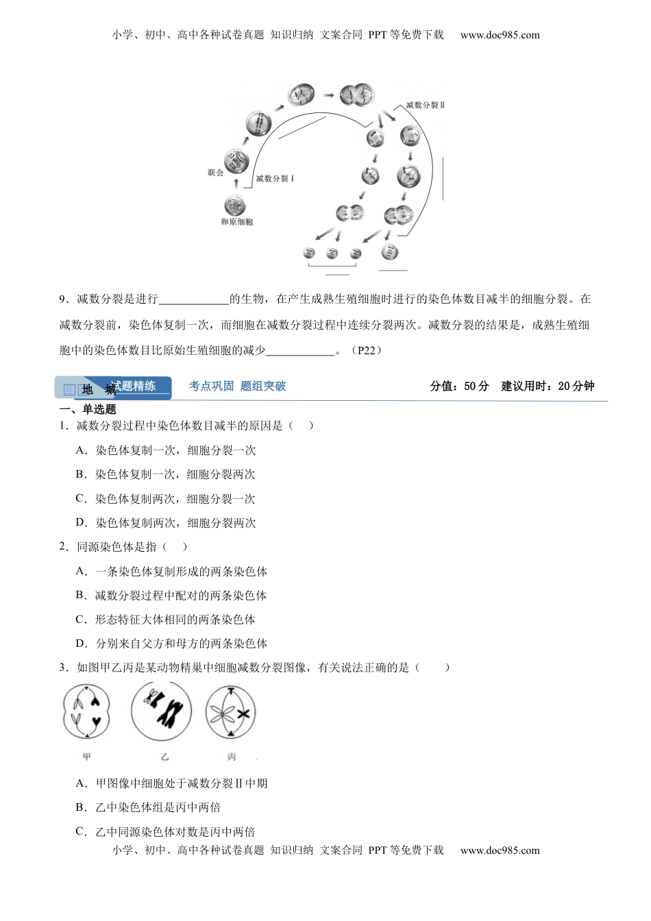 高考生物复习  考点通关卷13  减数分裂和受精作用（原卷版）.docx