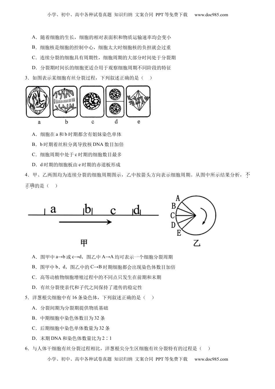 高考生物复习  考点通关卷12 细胞增殖（原卷版）.docx