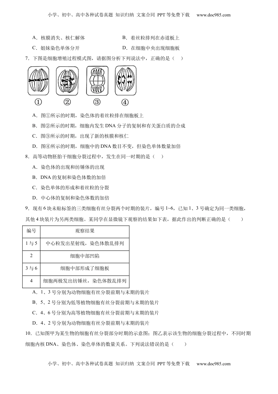 高考生物复习  考点通关卷12 细胞增殖（原卷版）.docx