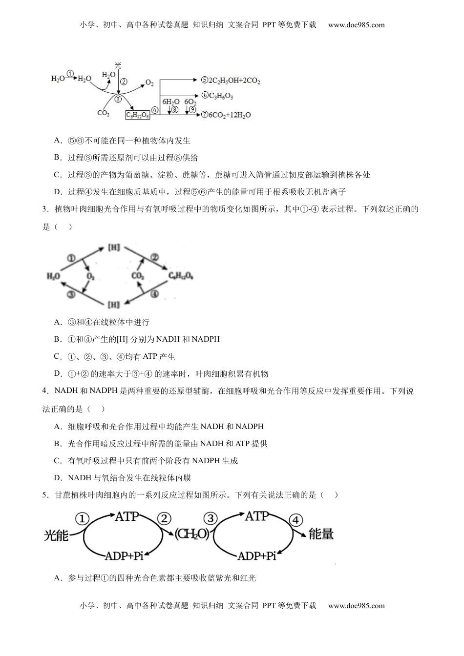 高考生物复习  考点通关卷11 细胞代谢综合分析（原卷版）.docx