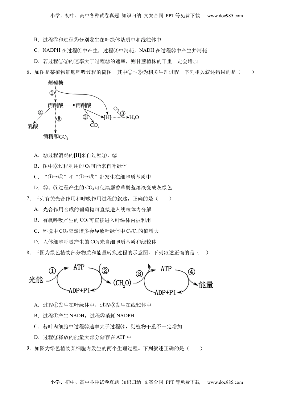高考生物复习  考点通关卷11 细胞代谢综合分析（原卷版）.docx
