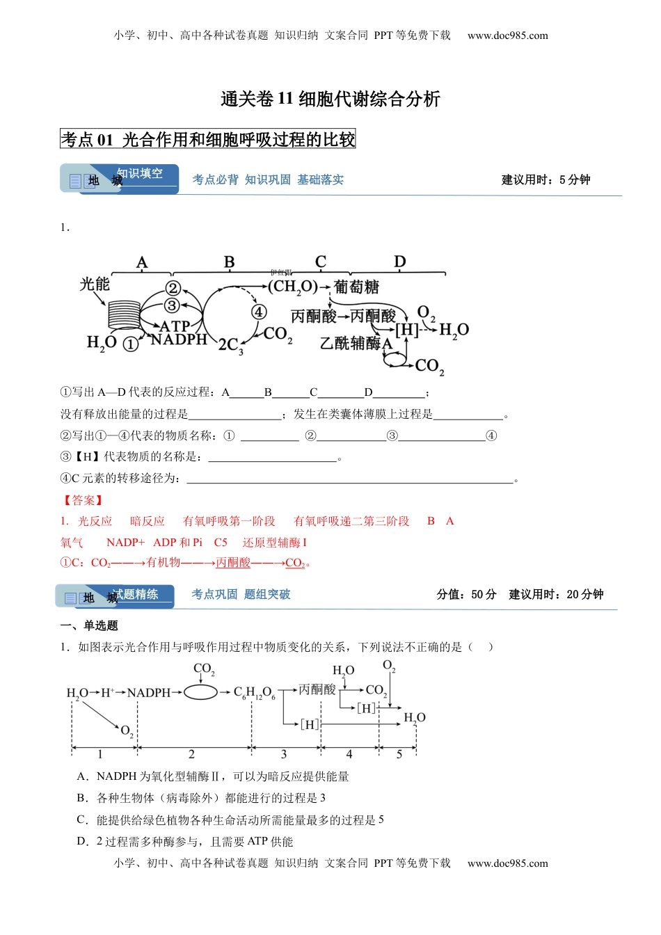 高考生物复习  考点通关卷11 细胞代谢综合分析（解析版）.docx