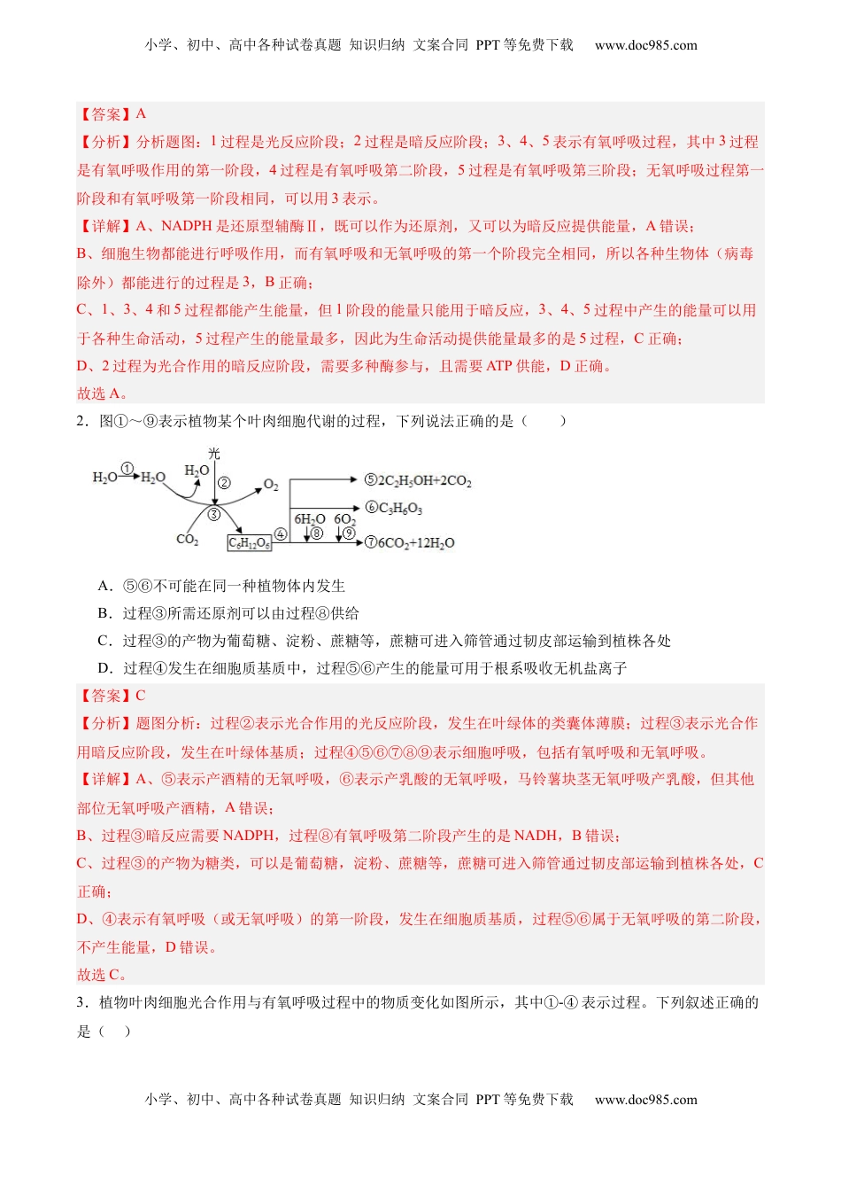 高考生物复习  考点通关卷11 细胞代谢综合分析（解析版）.docx