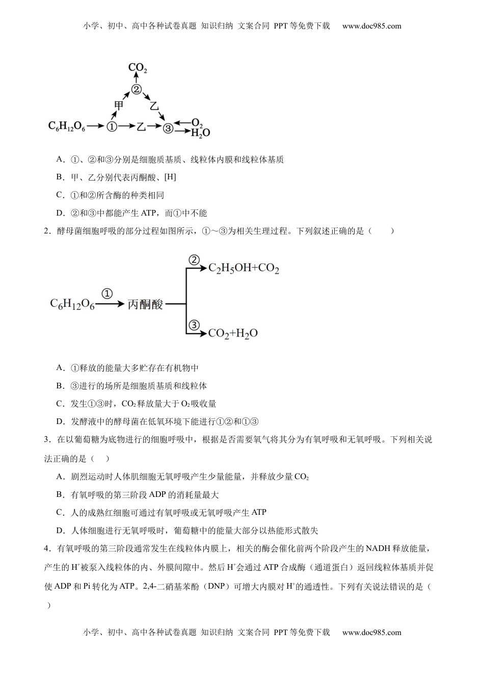 高考生物复习  考点通关卷09 细胞呼吸（原卷版）.docx