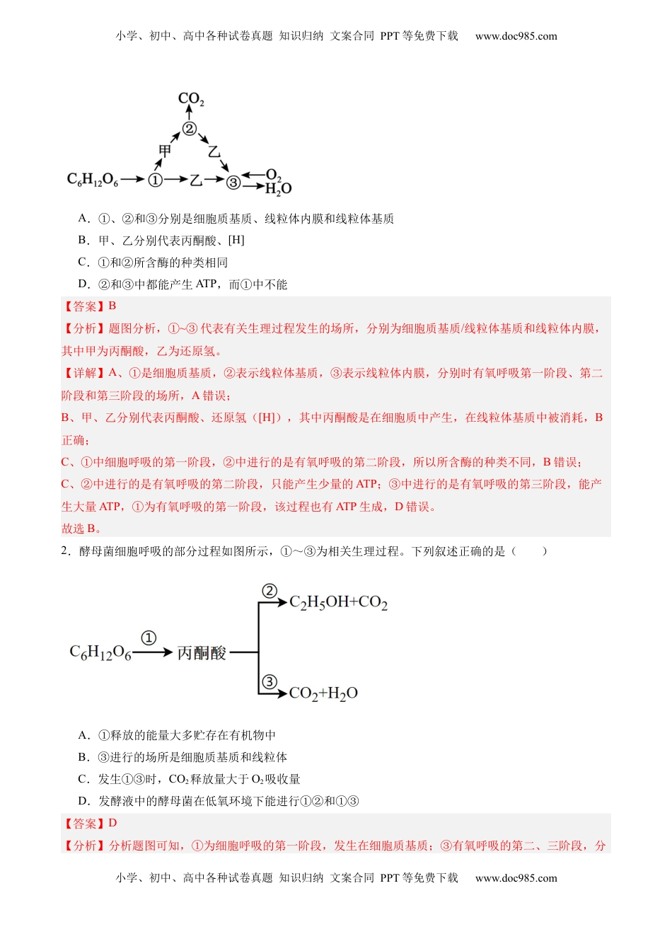 高考生物复习  考点通关卷09 细胞呼吸（解析版）.docx