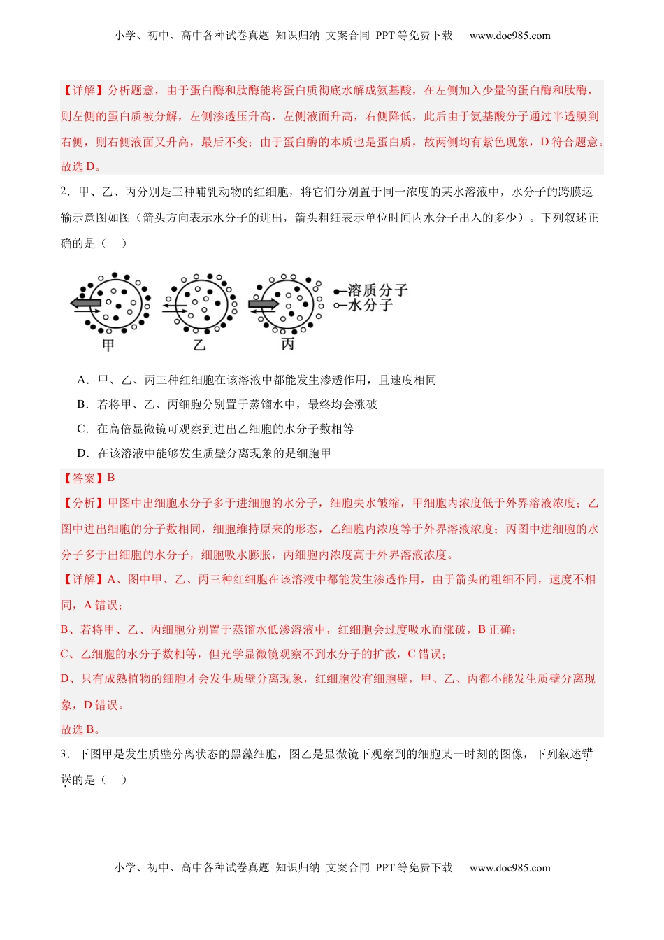 高考生物复习  考点通关卷07 物质运输（解析版）.docx