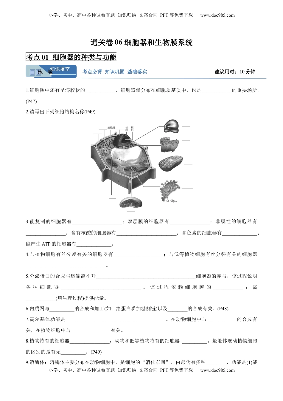 高考生物复习  考点通关卷06 细胞器和生物膜系统（原卷版）.docx