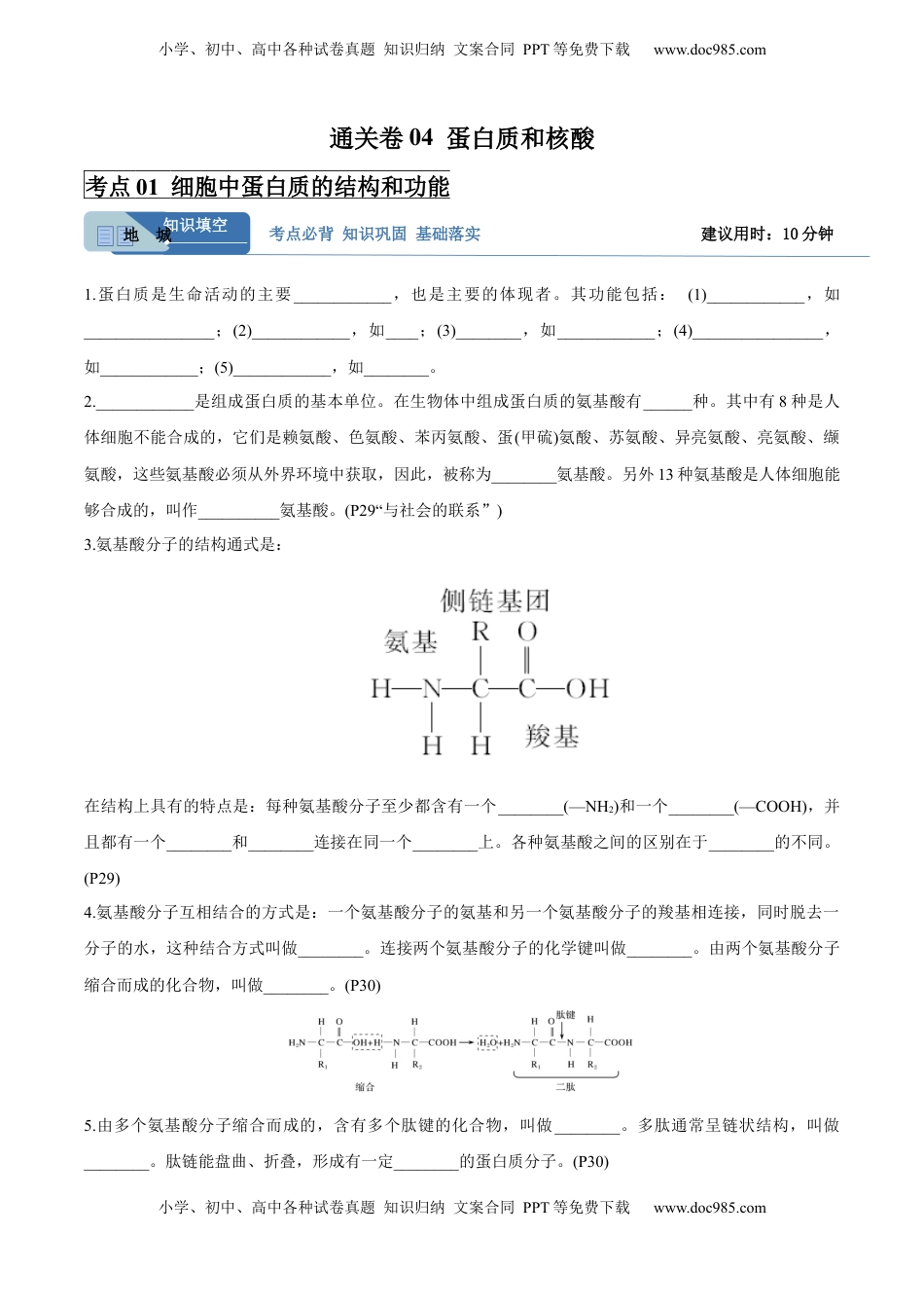 高考生物复习  考点通关卷04  蛋白质和核酸（解析版）.docx
