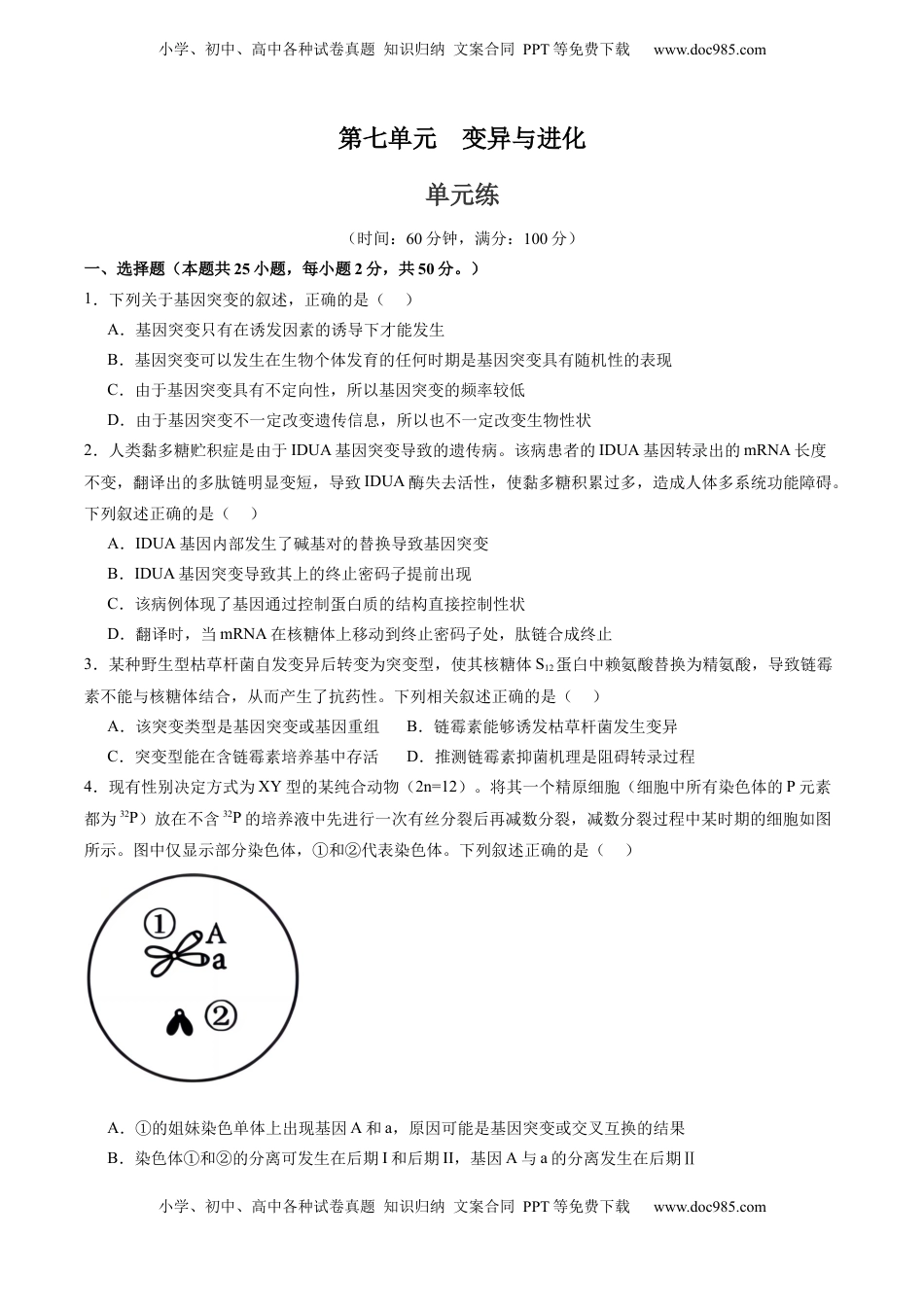 高考生物复习  单元检测卷07  变异与进化（原卷版）.docx