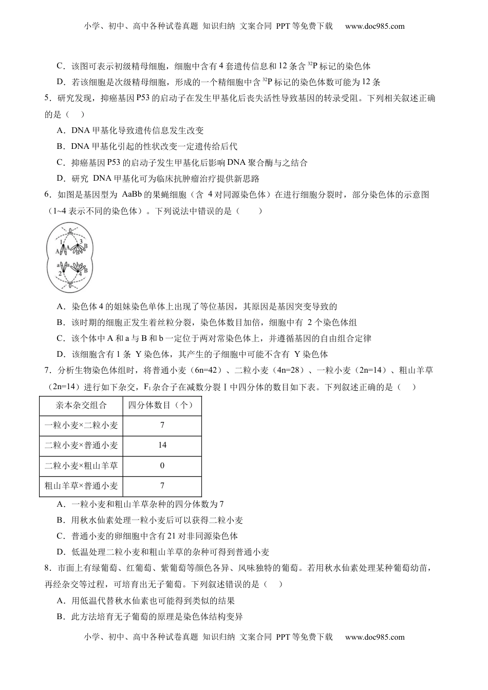 高考生物复习  单元检测卷07  变异与进化（原卷版）.docx