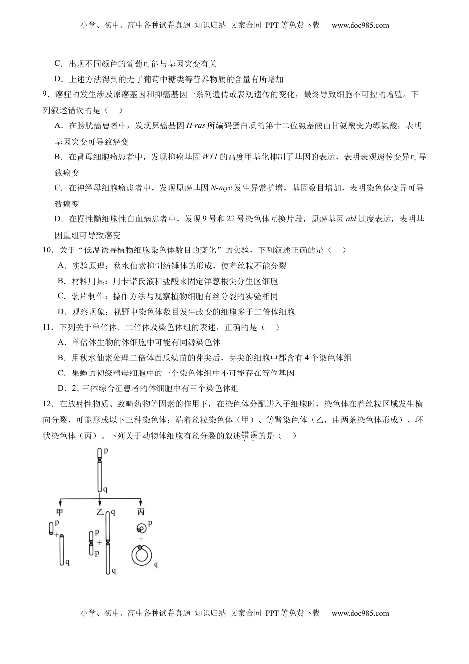 高考生物复习  单元检测卷07  变异与进化（原卷版）.docx