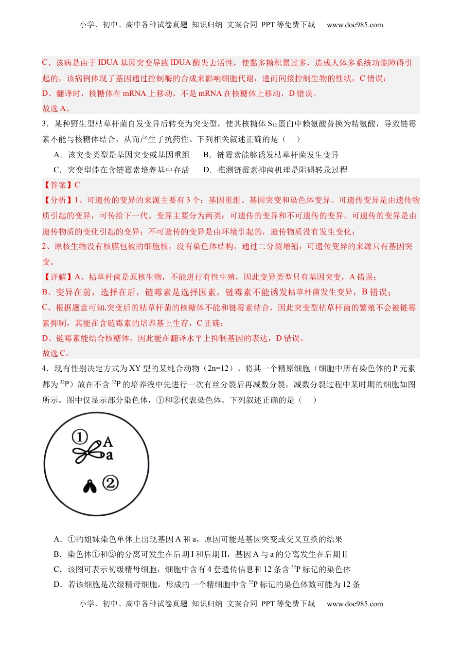 高考生物复习  单元检测卷07  变异与进化（解析版）.docx