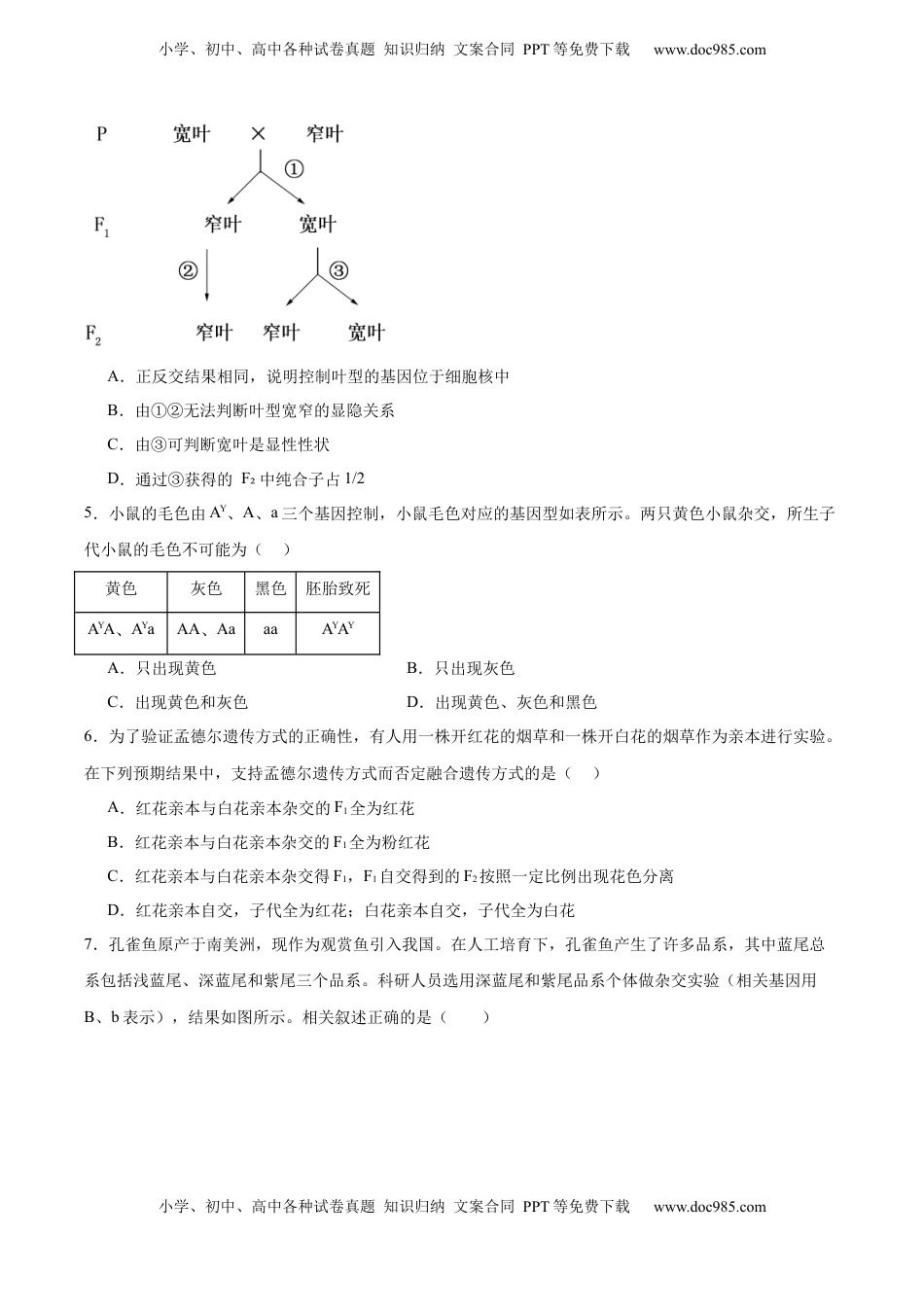 高考生物复习  单元检测卷05  基因的传递规律（原卷版）.docx