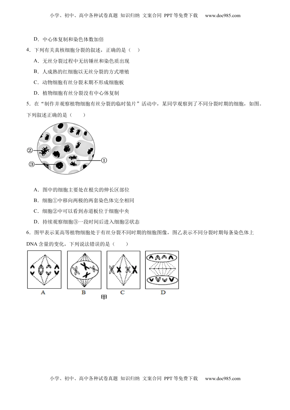 高考生物复习  单元检测卷04  细胞的生命历程（原卷版）.docx