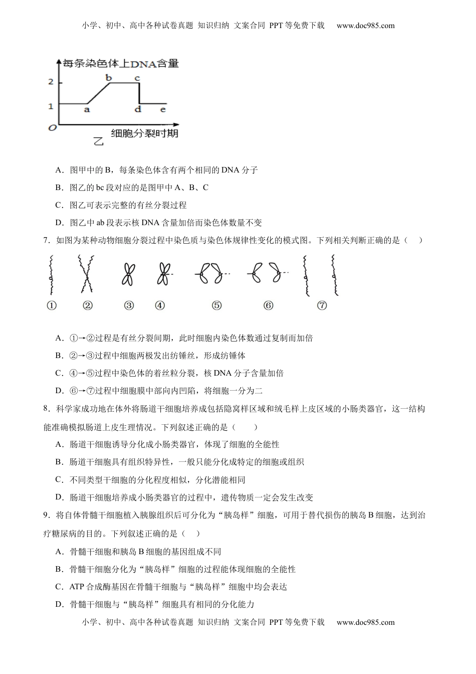 高考生物复习  单元检测卷04  细胞的生命历程（原卷版）.docx