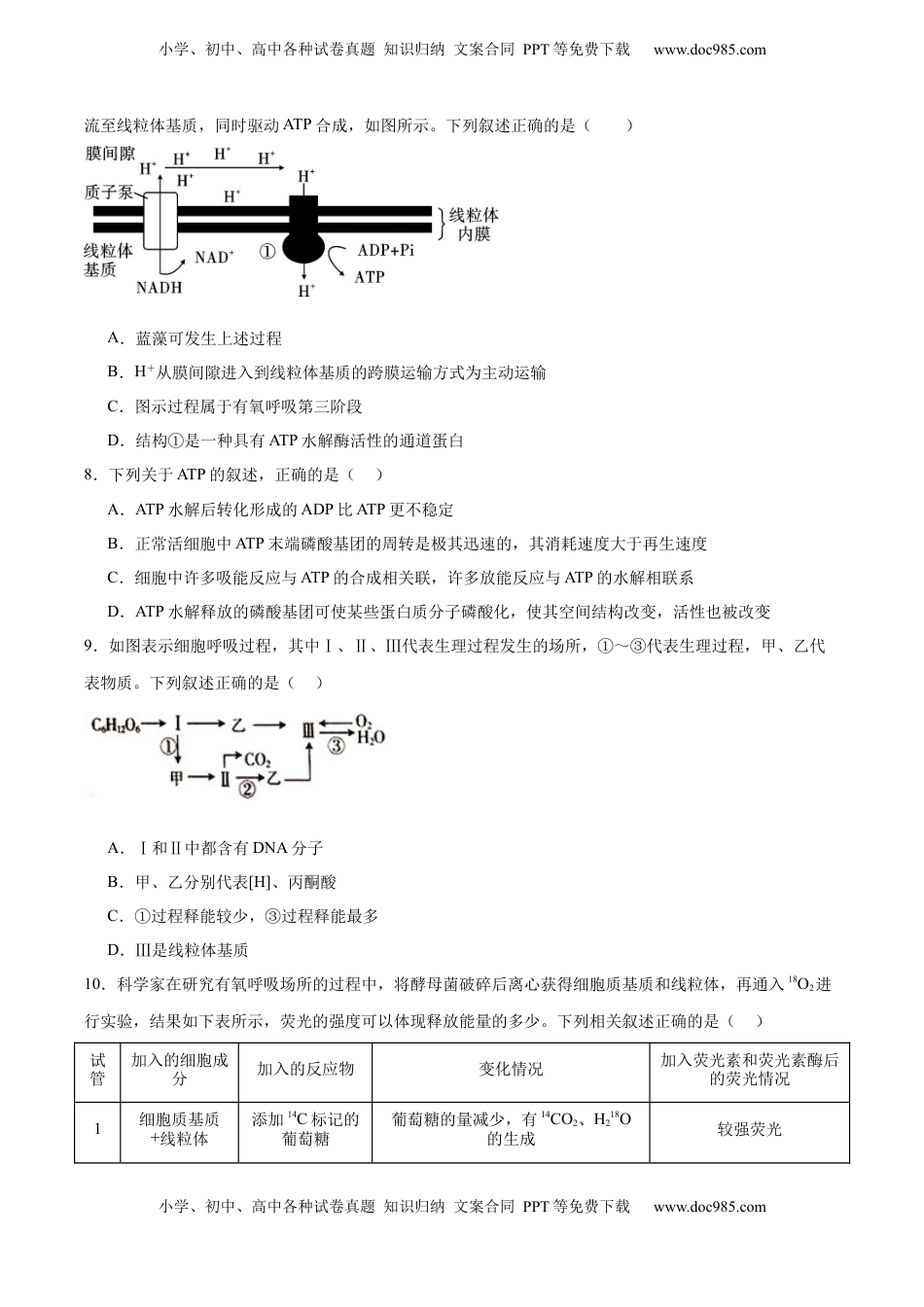 高考生物复习  单元检测卷03   细胞的能量供应和利用（原卷版）.docx