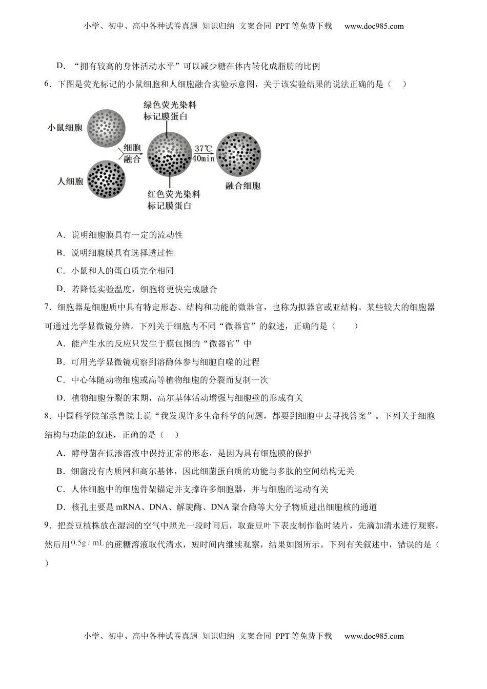 高考生物复习  必修1 模板检测卷（原卷版）.docx