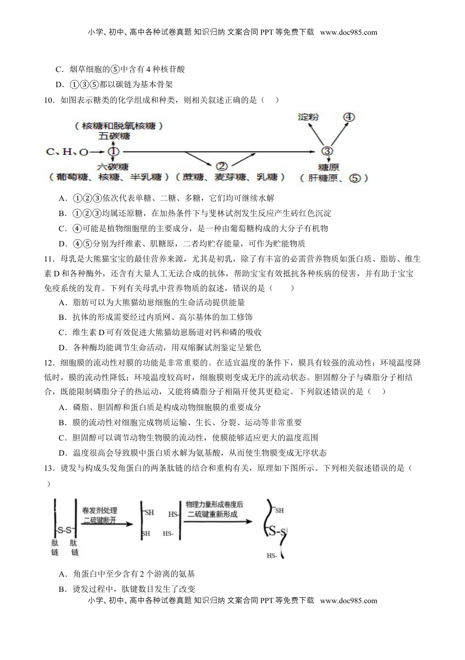 高考生物复习  第一单元 细胞的概述及其组成分子（测试）（原卷版）.docx