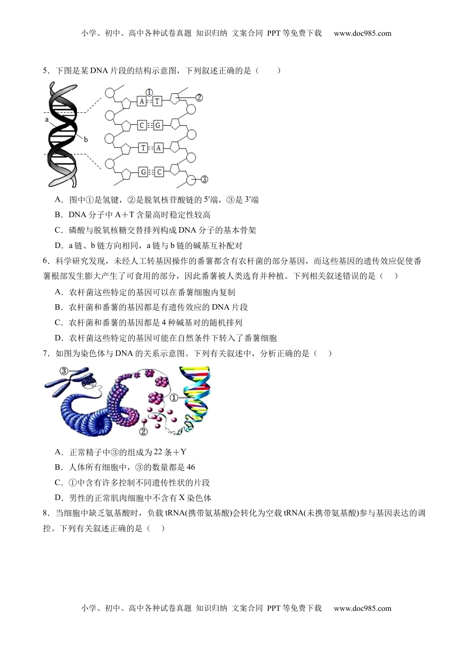 高考生物复习  第六单元 遗传的物质基础（测试）（原卷版）.docx