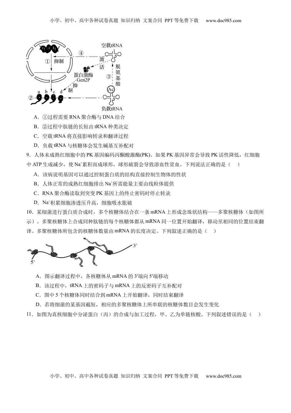 高考生物复习  第六单元 遗传的物质基础（测试）（原卷版）.docx