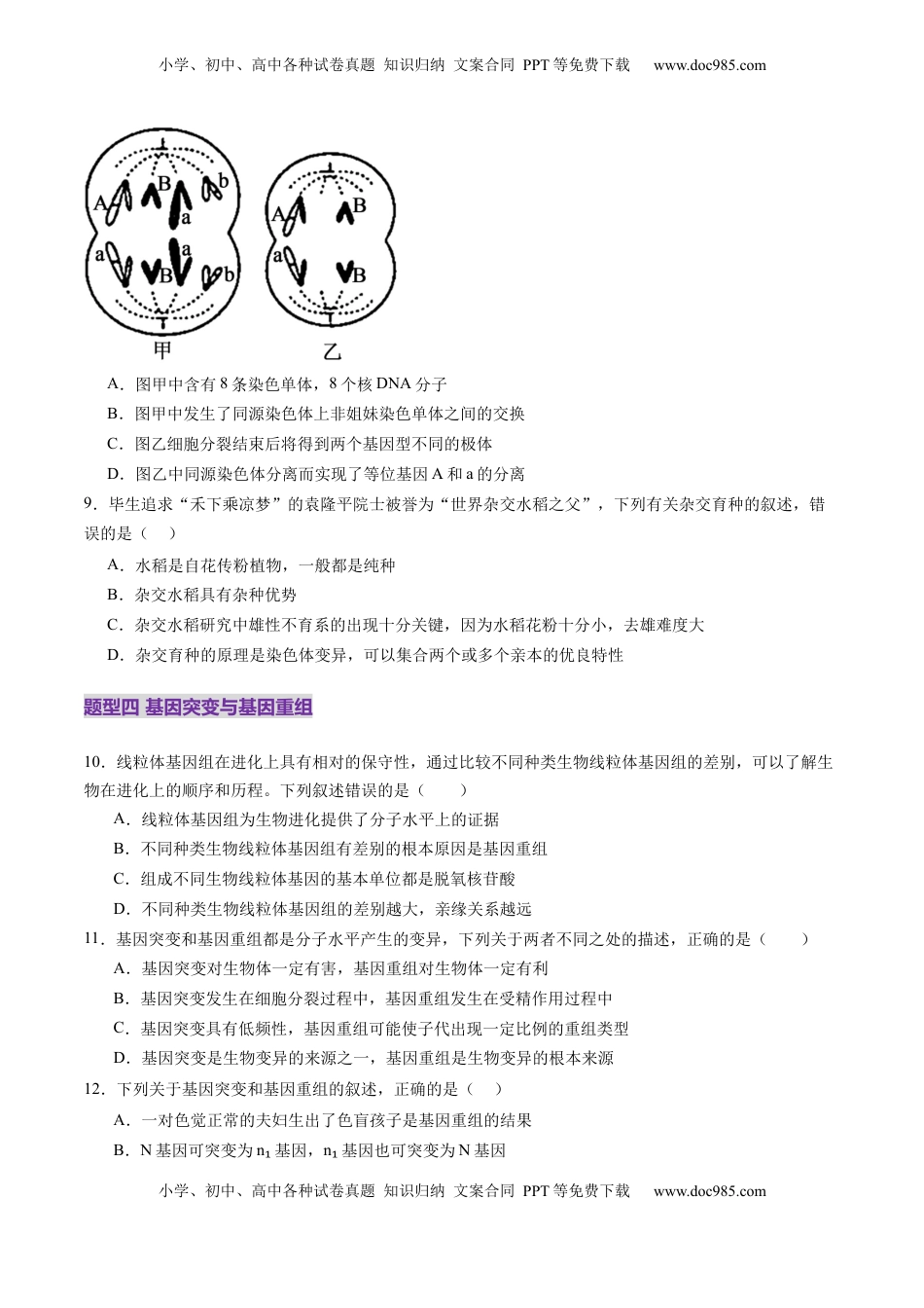 高考生物复习  第22讲 生物的变异（第一课时，基因突变和基因重组）（练习）（原卷版）.docx