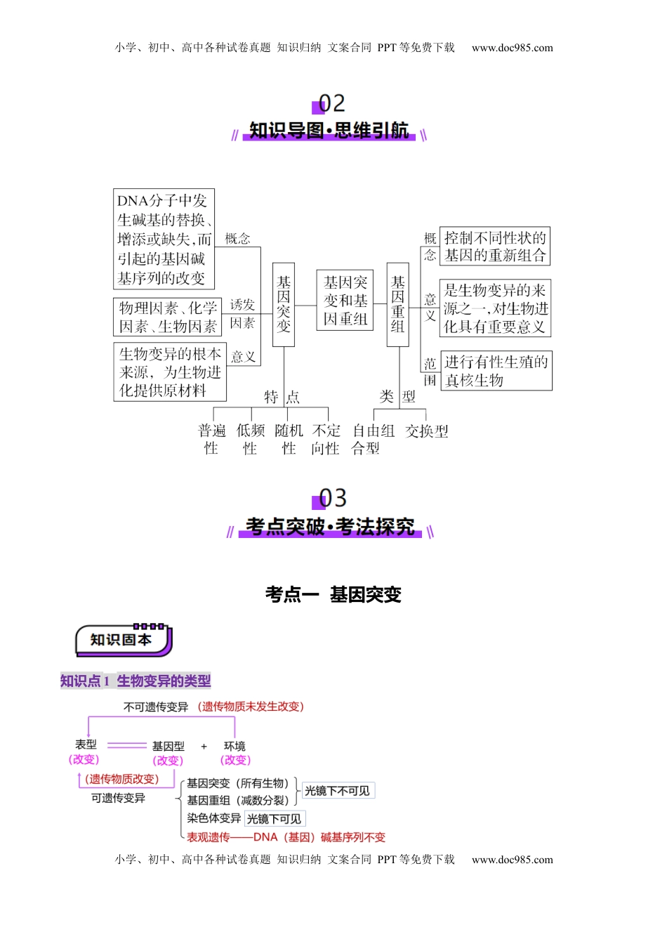 高考生物复习  第22讲 生物的变异（第一课时，基因突变和基因重组）（讲义）（解析版）.docx