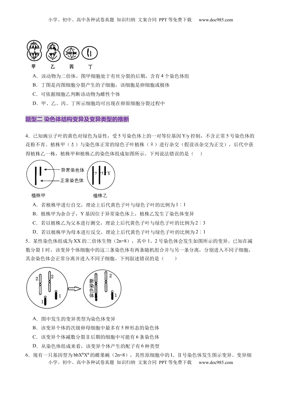 高考生物复习  第22讲 生物的变异（第二课时，染色体变异）（练习）（原卷版）.docx