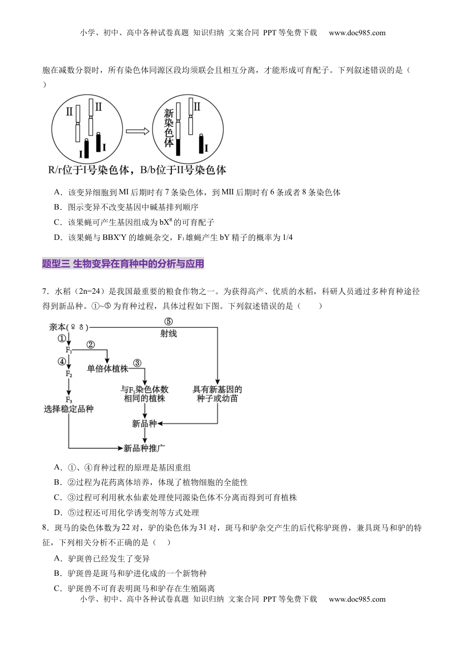 高考生物复习  第22讲 生物的变异（第二课时，染色体变异）（练习）（原卷版）.docx