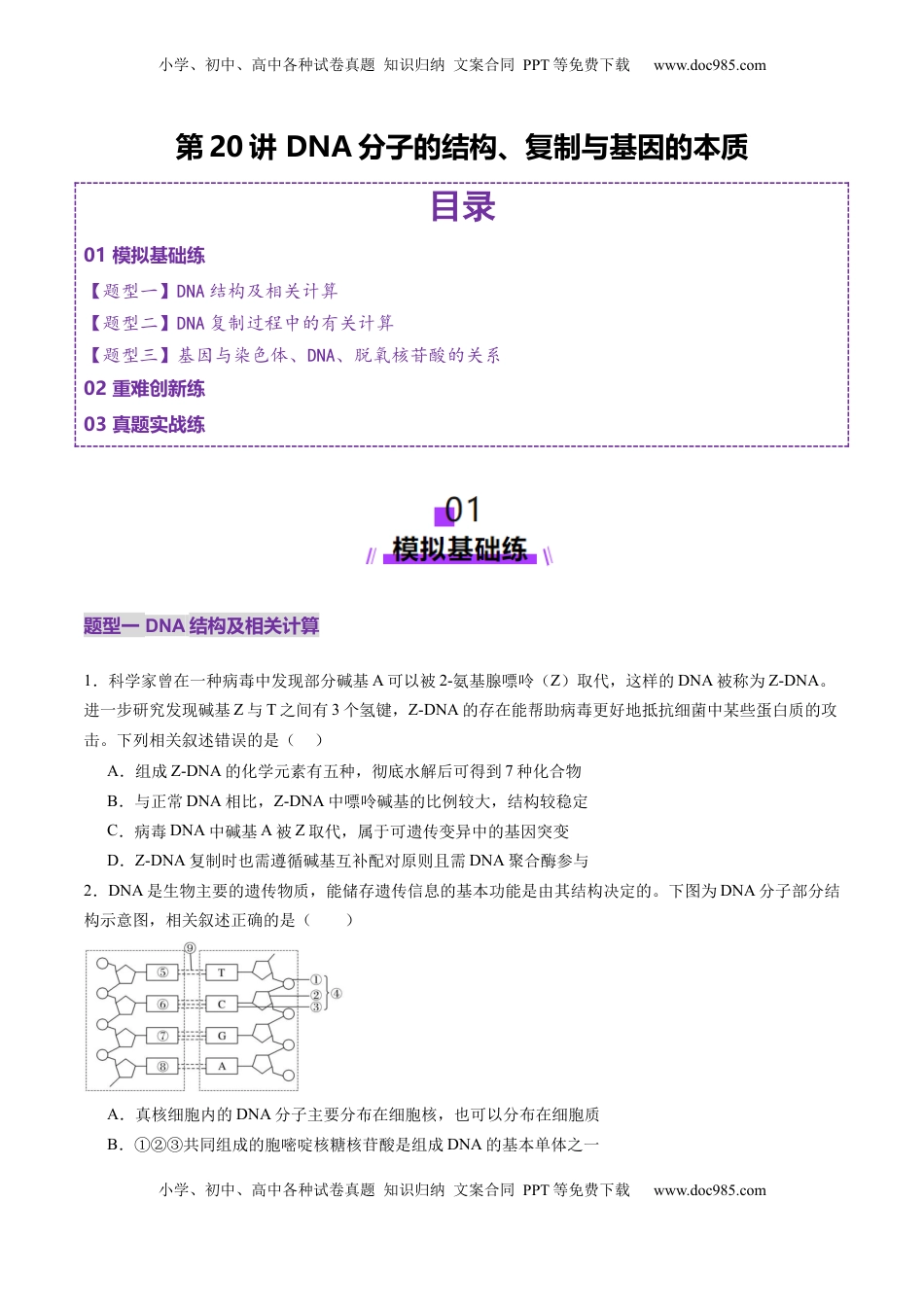 高考生物复习  第20讲 DNA分子的结构、复制与基因的本质（练习）（原卷版）.docx