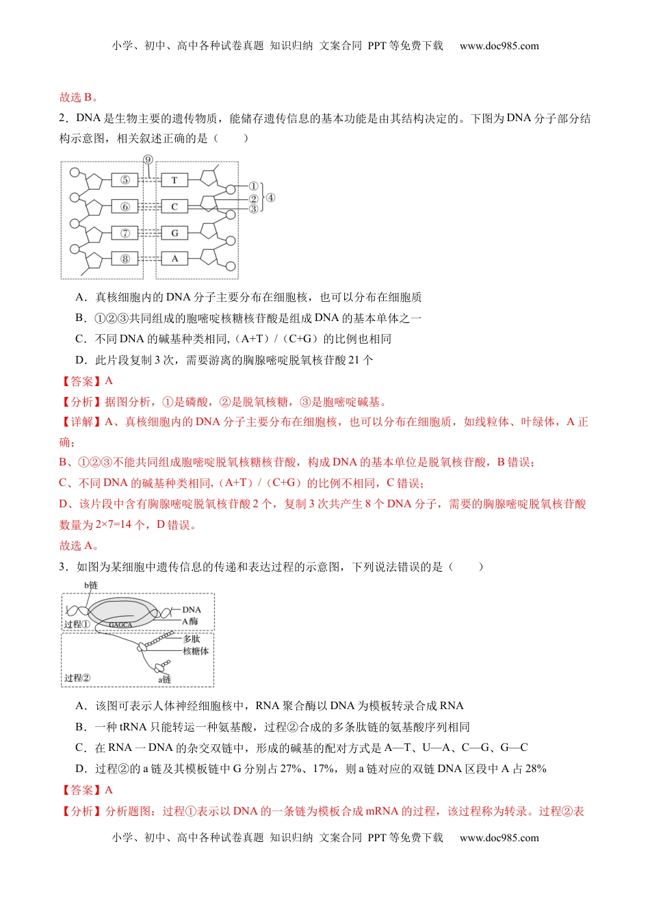高考生物复习  第20讲 DNA分子的结构、复制与基因的本质（练习）（解析版）.docx