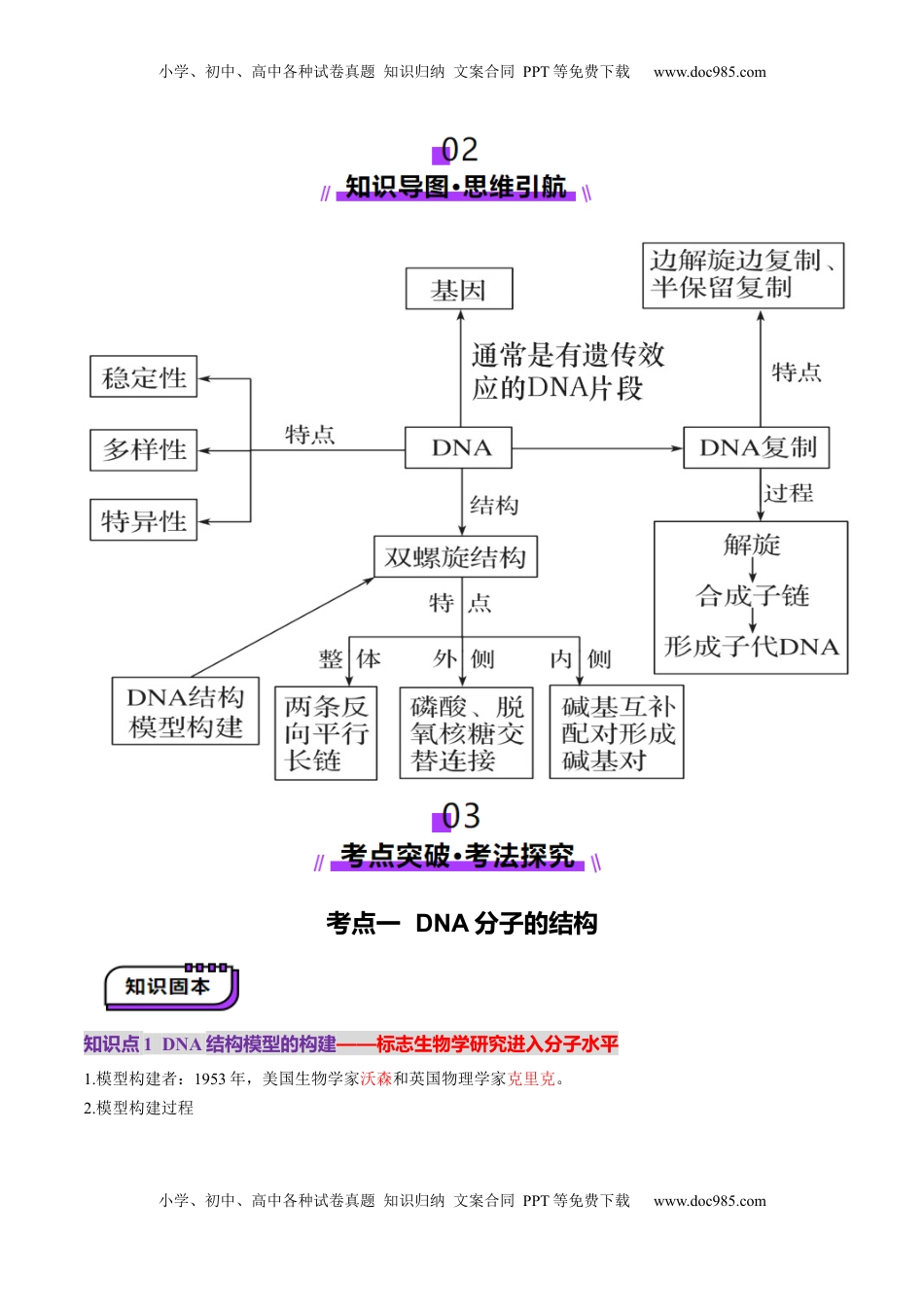 高考生物复习  第20讲 DNA分子的结构、复制与基因的本质（讲义）（原卷版）.docx