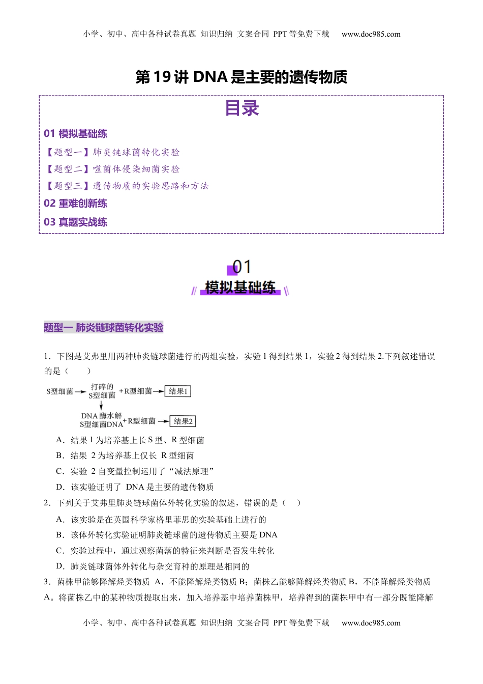 高考生物复习  第19讲 DNA是主要的遗传物质（练习）（原卷版）.docx