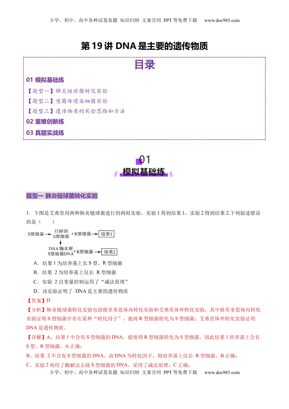 高考生物复习  第19讲 DNA是主要的遗传物质（练习）（解析版）.docx