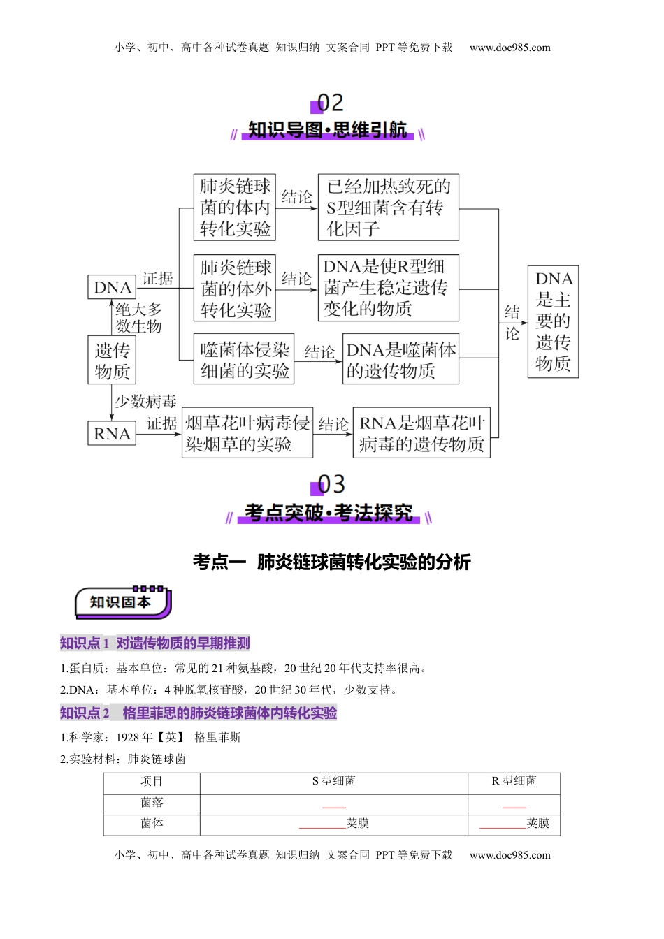 高考生物复习  第19讲 DNA是主要的遗传物质（讲义）（原卷版）.docx