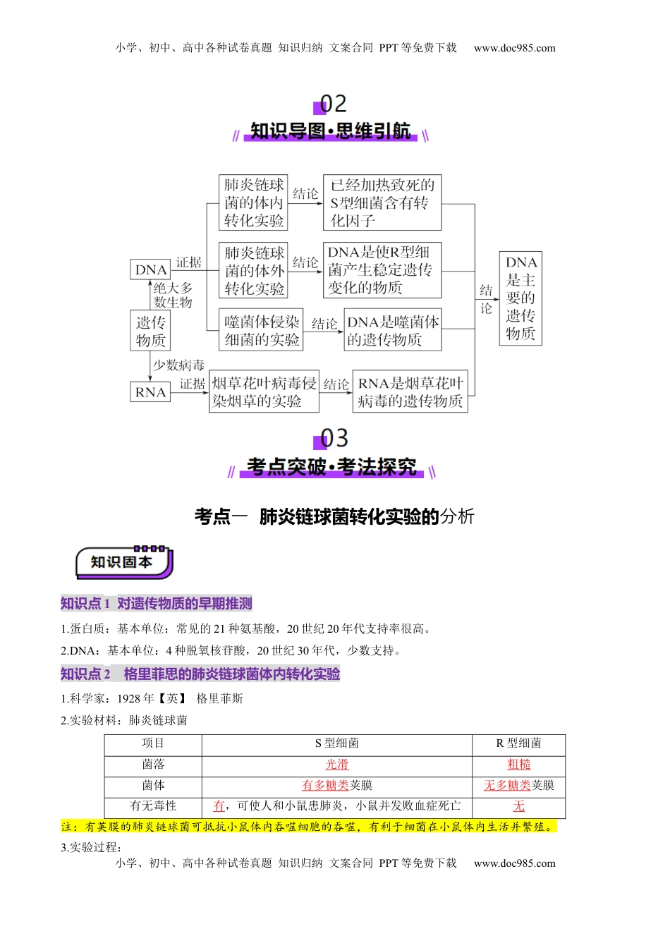 高考生物复习  第19讲 DNA是主要的遗传物质（讲义）（解析版）.docx