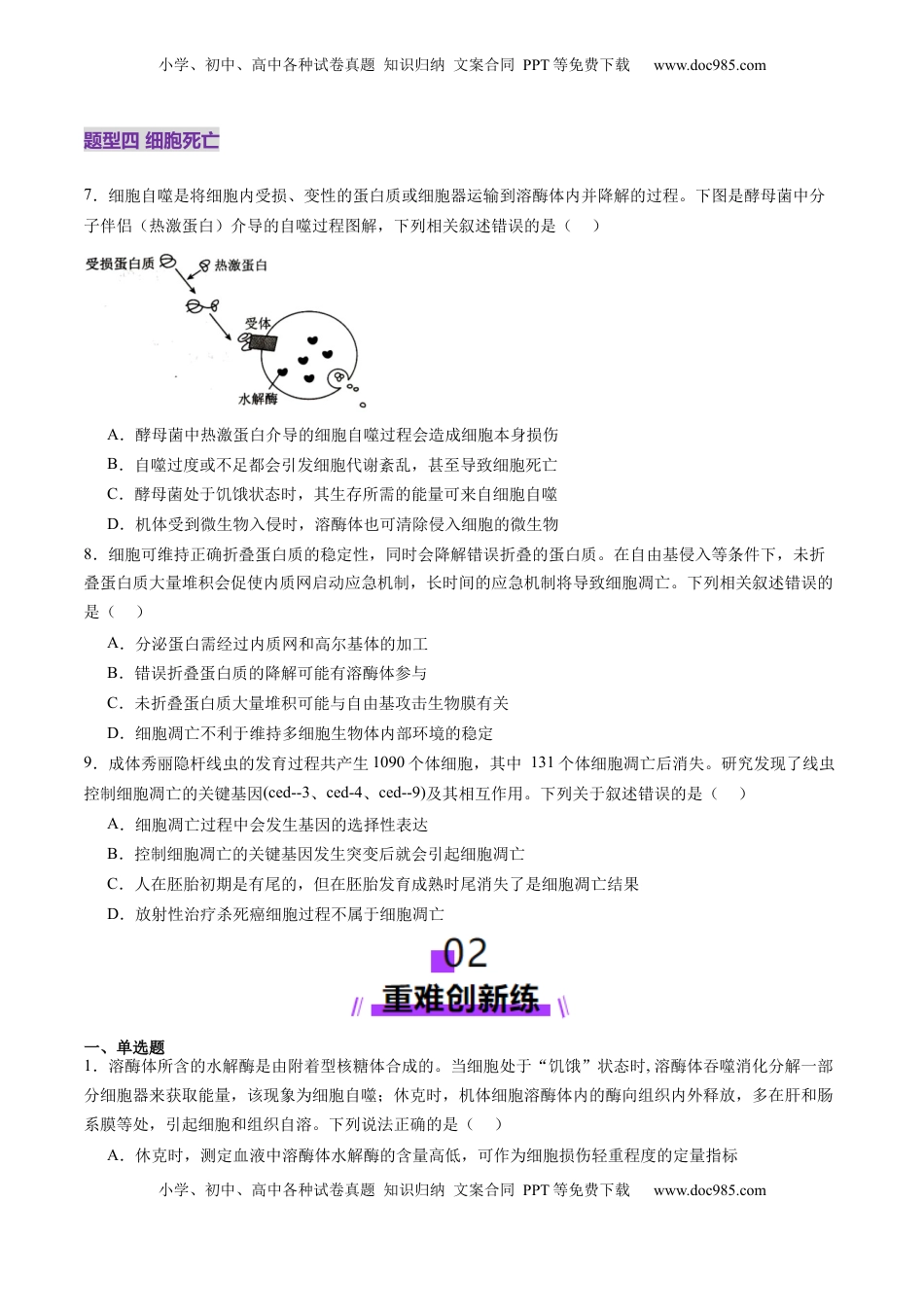 高考生物复习  第14讲 细胞的分化、衰老、死亡和癌变（练习）（原卷版）.docx