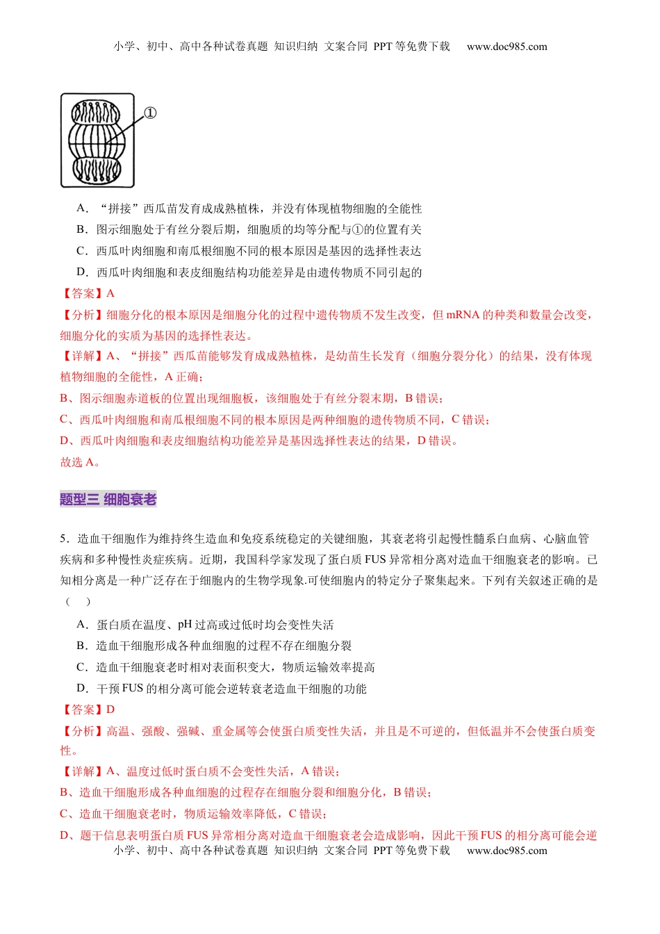 高考生物复习  第14讲 细胞的分化、衰老、死亡和癌变（练习）（解析版）.docx