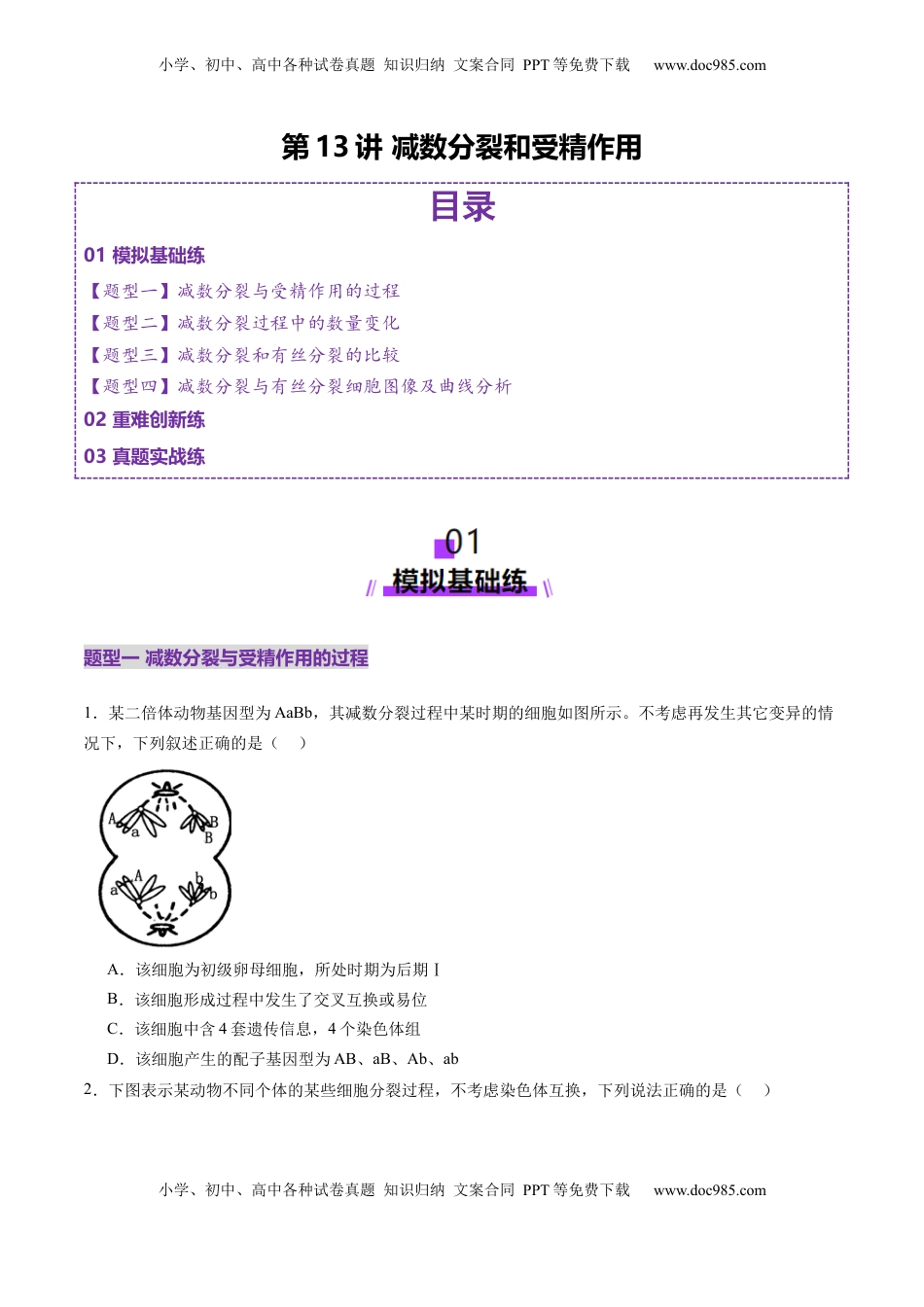 高考生物复习  第13讲 减数分裂和受精作用（练习）（原卷版）.docx