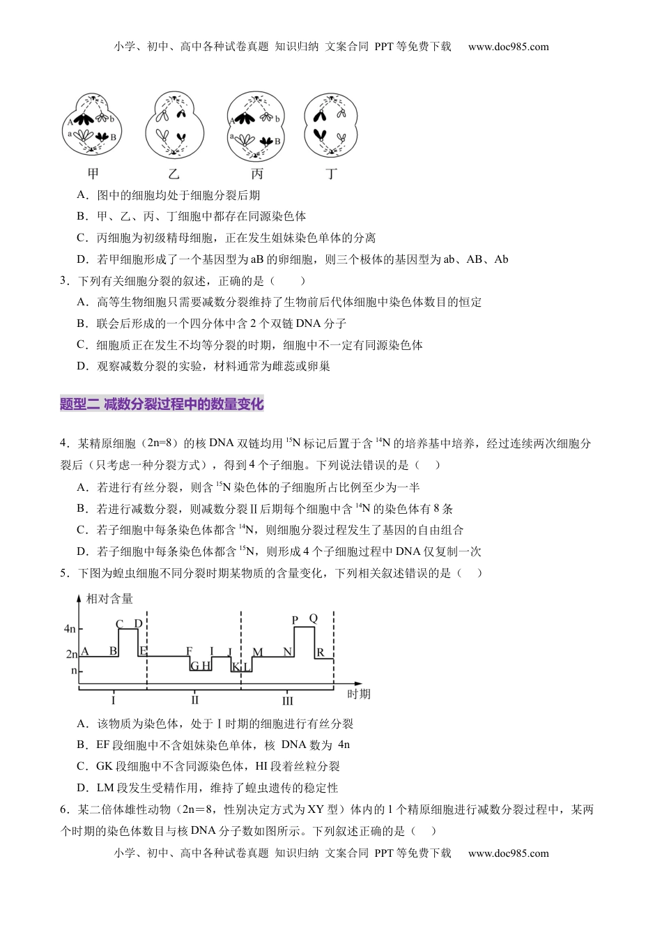高考生物复习  第13讲 减数分裂和受精作用（练习）（原卷版）.docx