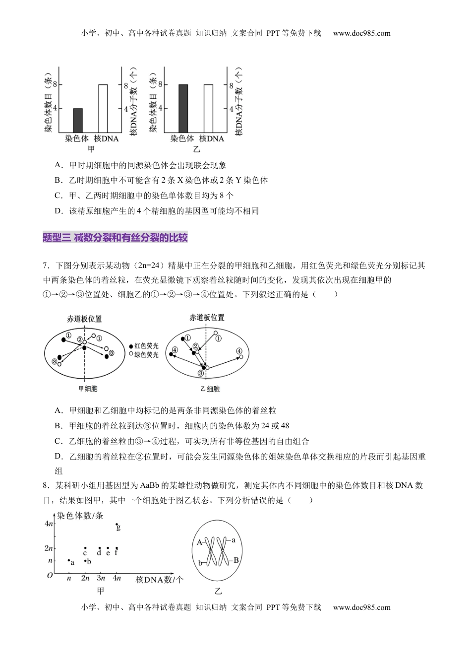 高考生物复习  第13讲 减数分裂和受精作用（练习）（原卷版）.docx