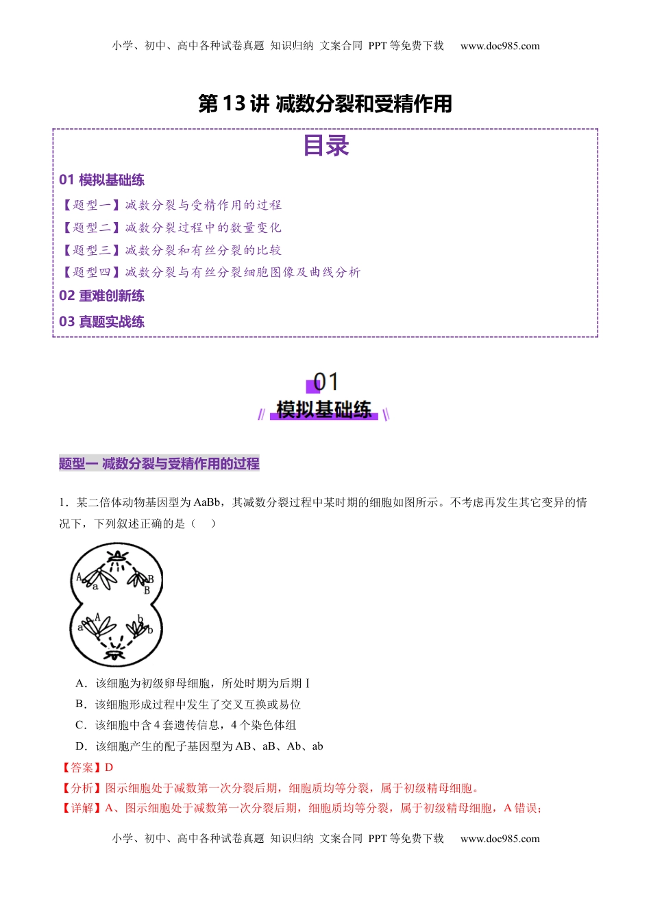 高考生物复习  第13讲 减数分裂和受精作用（练习）（解析版）.docx