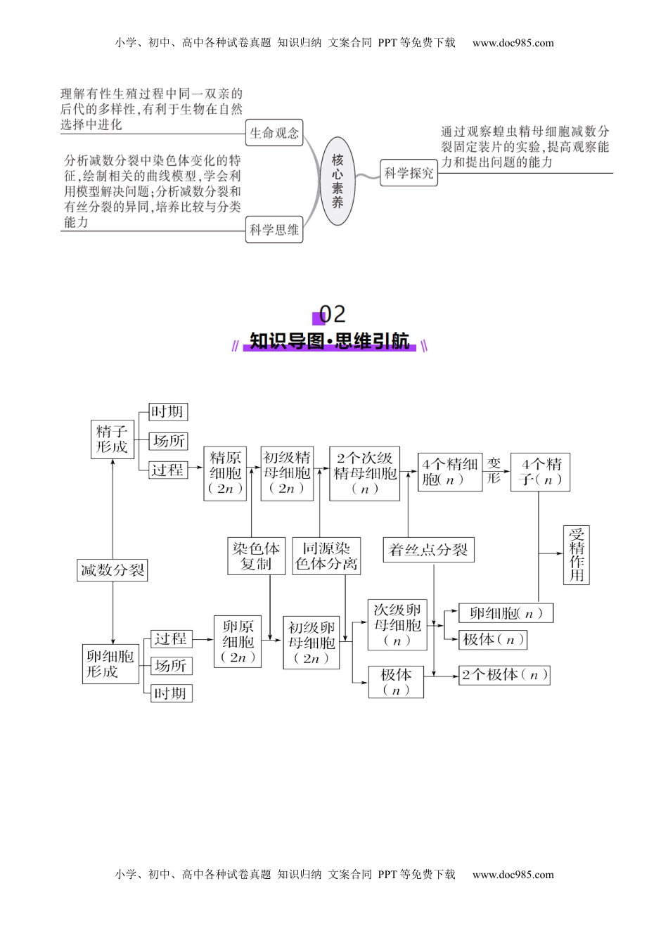 高考生物复习  第13讲 减数分裂和受精作用（讲义）（解析版）.docx